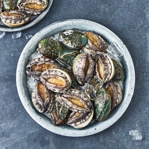 노량진수산시장 전복 (냉장)