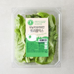 그린래빗 무농약 인증 유러피안 트리플믹스 샐러드, 100g, 1개