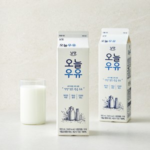 남양유업 오늘우유, 900ml, 2개