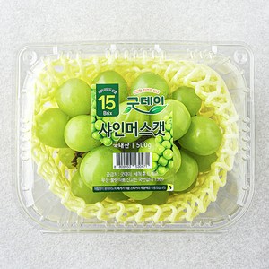 굿데이 당도선별 15brix 비파괴 샤인머스캣, 500g, 1팩