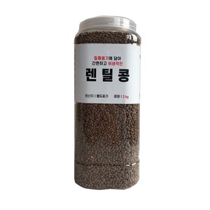 대한농산 통에담은 렌틸콩, 2kg, 1개