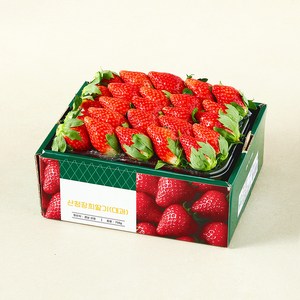 GAP 인증 산청 장희딸기 대, 750g, 1개