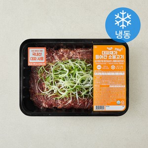 요리락 대파채가 한웅큼 들어간 소불고기 (냉동)
