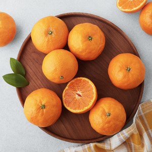 블랙홀 고당도 13.5bix 카라향, 1kg(소과, 8~15입), 1개