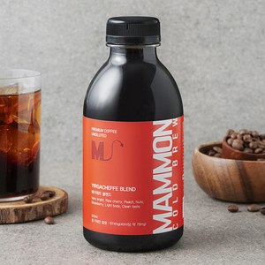 훔볼트 마몬 예가체프 블렌드 콜드브루 커피원액, 1개, 500ml