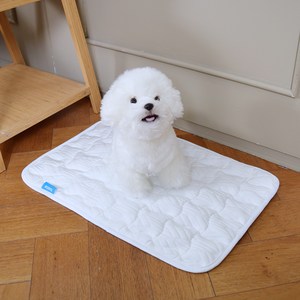 바디큐 듀라론 애견용 항균 냉감패드, 화이트, M(60 x 38 ..., 1개