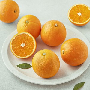 다조은 호주산 네이블 오렌지, 1.2kg, 1개