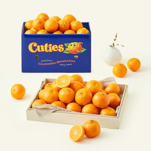 큐티 만다린 선물세트, 3kg, 1세트