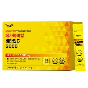퍼니트 메가 바이탈 비타민C 3000 90p, 270g, 1개