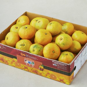문주왕 당도선별 10brix 감귤, 3kg(대과), 1박스