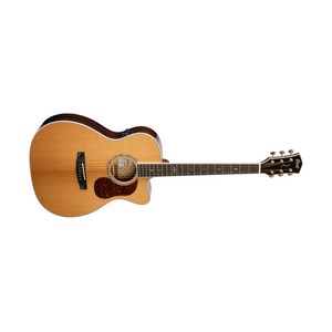 콜트 Gold-OC8 어쿠스틱 기타