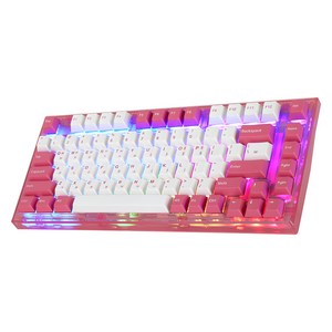 앱코 가스켓 마운트 RGB 교체축 기계식 게이밍 미니 유선 텐키리스 키보드 넌클릭