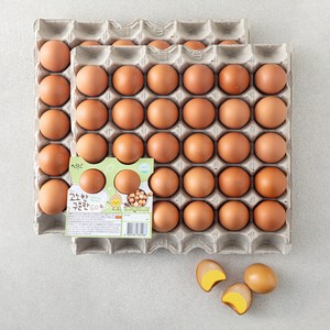 성원 고소한 구운란 2.1kg, 60구, 1개