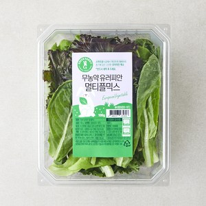 그린래빗 무농약 인증 유러피안 멀티플믹스 샐러드, 100g, 1개