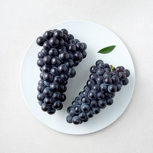 모아바이오팜 캠벨포도, 1kg, 1개
