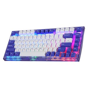 앱코 가스켓 마운트 RGB 교체축 기계식 게이밍 미니 유선 텐키리스 키보드 넌클릭