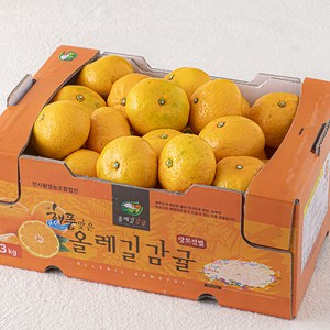 GAP 해풍맞은 올레길 Ai선별 당도선별 11bix 감귤, 3kg(랜덤과), 1개