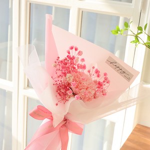모리앤 조화 감사 한송이 카네이션 생화안개 프리저브드 꽃다발, 살몬핑크, 1개