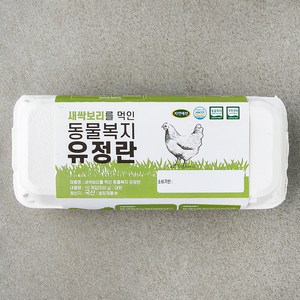 자연애찬 동물복지 인증 새싹보리를 먹인 유정란 520g, 10구, 1개