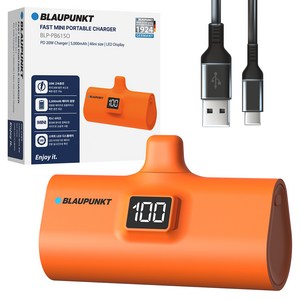 블라우풍트 LED 도킹형 고속충전 보조배터리 5000mAh