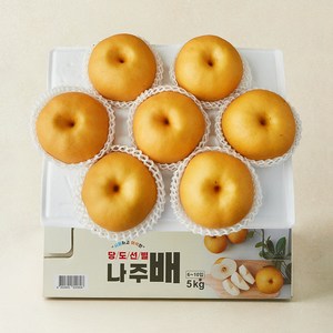 다복 당도선별 나주배, 5kg(6~10입), 1개