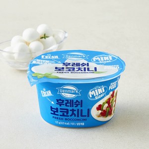 덴마크 후레쉬 보코치니