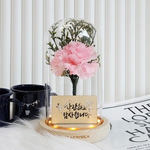 더라임코리아 심플 카네이션 유리돔