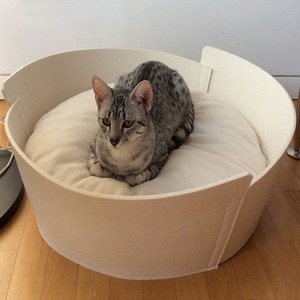 요기쏘 반려동물 스타디움 하우스, 화이트