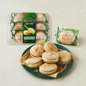 삼립 제주말차 진한 붓세