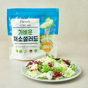 팜에이트 가벼운 채소샐러드, 300g, 1개