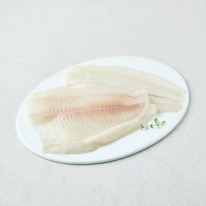 은하수산 국내산 광어 필렛
