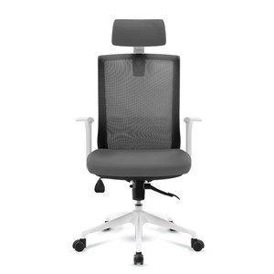 체어포커스 컴즈 화이트바디 메쉬 의자 CT800WH