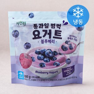 자연원 통과일 범벅 요거트 블루베리 (냉동), 300g, 1개