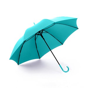 WEEVE 모던베이직 컬러풀 자동 장우산