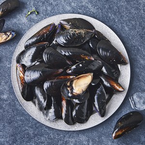아라보감 산지직송 생물 홍합 (냉장), 1kg, 1개