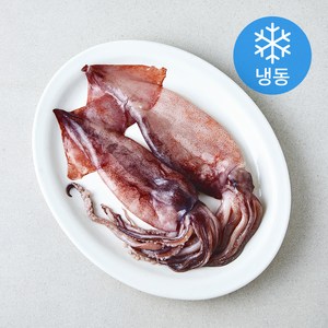 국내산 손질 통 오징어 (냉동), 320g, 1개