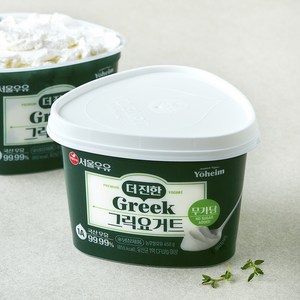 서울우유 더 진한 그릭요거트, 450g, 1개