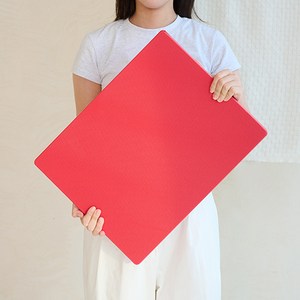 페르쉐프 업소용 위생도마