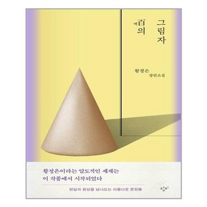 백의 그림자:황정은 장편소설, 황정은, 창비