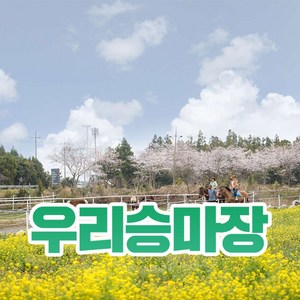 [제주] 우리승마장 (기본코스)