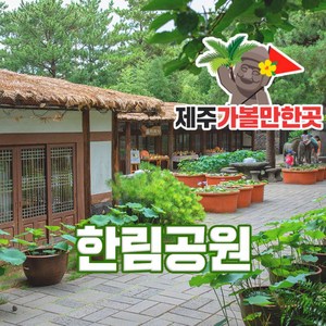 [제주] 한림공원+제주가볼만한 곳