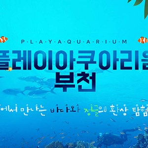 [부천] [부천] 아쿠아리움+동물원+파충류관+생태 도슨트