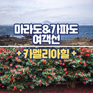 [제주] 마라도/가파도여객선+카멜리아힐