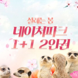 [대구] 네이처파크 종일권1+1 ★상시특가★