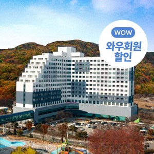 [화순] ★기간한정특가★쿠팡단독PKG오픈★와우회원10%할인★금호리조트 화순스파