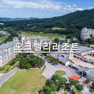 오크밸리리조트 추천 1등 제품