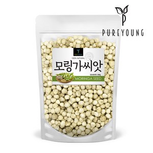 퓨어영 모링가 씨앗 300g 모링가씨 모링가차, 1개