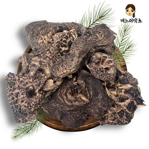 며느리약초 자연산 능이버섯 A급 (특품) 건조 100g