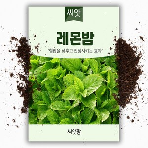 세인화분 레몬밤 200립 - 허브씨앗, 1개