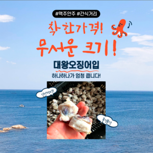 [쫄깃쫄깃] 대왕오징어입 2kg, 1개